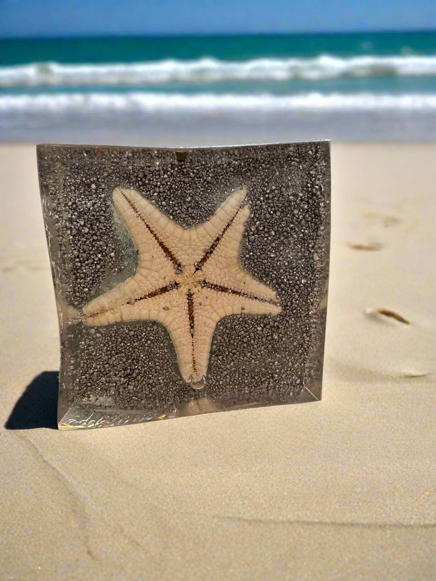 Large Orgonite Pyrite and Seashell Pyramid